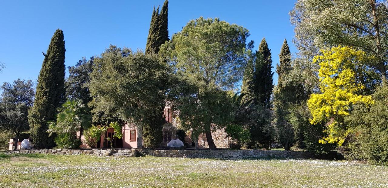 Podere La Fornace Ravi Exteriér fotografie