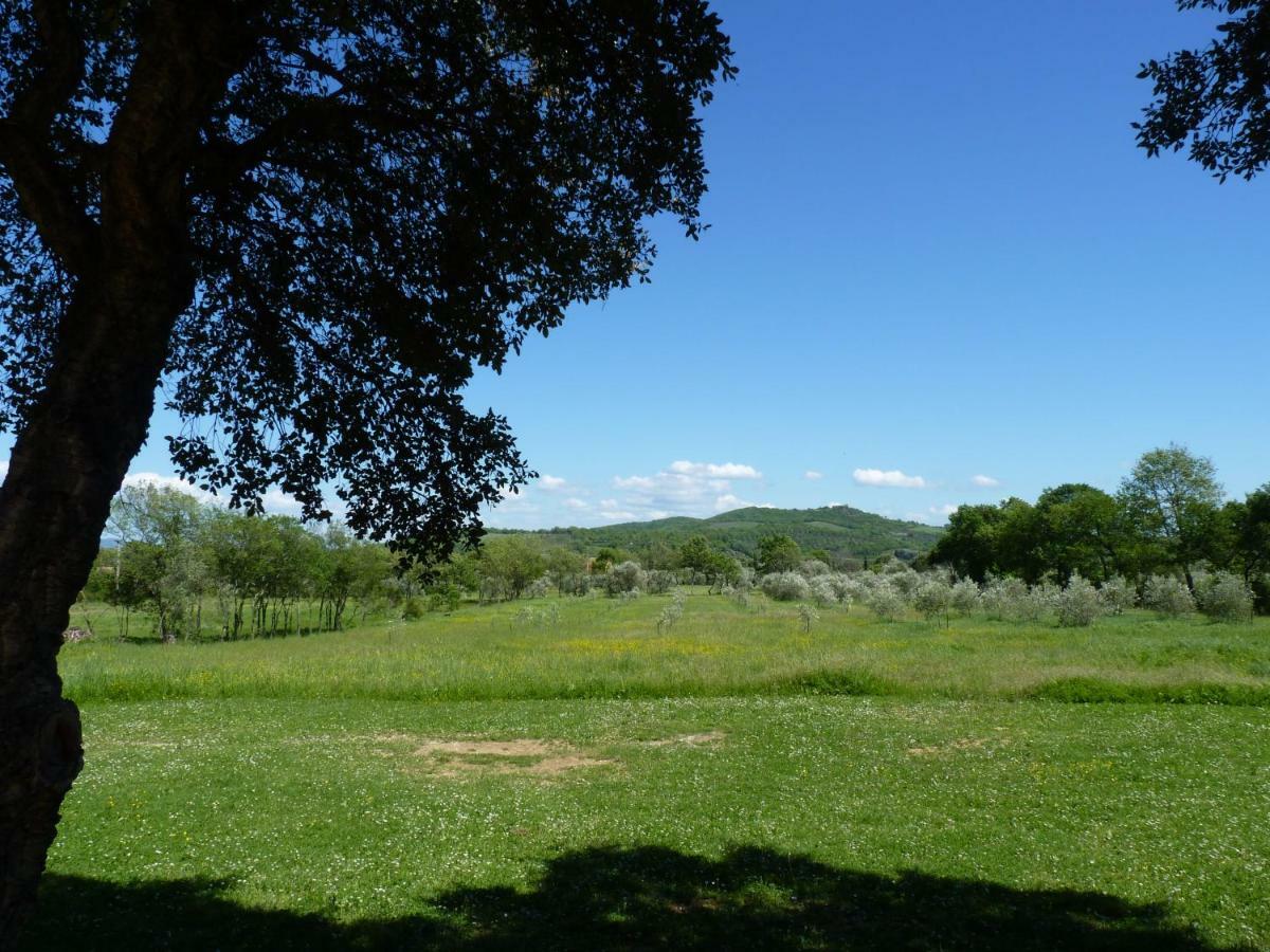 Podere La Fornace Ravi Exteriér fotografie